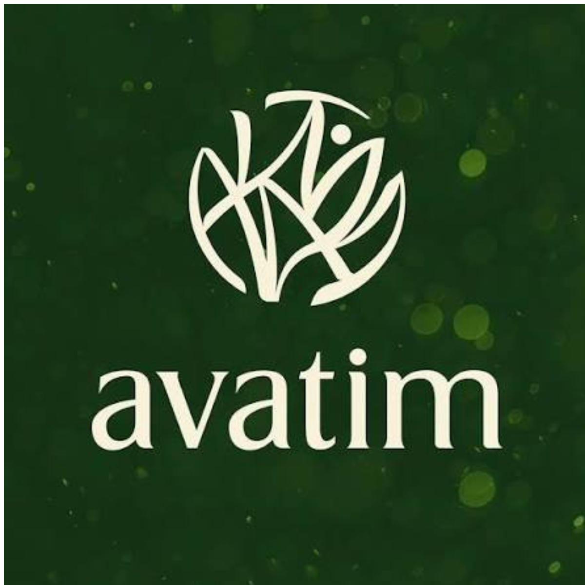 Avatim